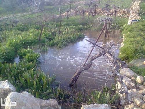 Les eaux usées des colons détruisent les terres agricoles à Nahalin